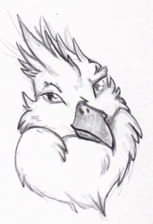 Size: 342x500 | Tagged: safe, artist:talakestreal, derpibooru import, oc, oc only, oc:der, griffon, bust, male, portrait, simple background, sketch, solo, traditional art