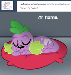 Size: 500x530 | Tagged: safe, artist:wubcakeva, derpibooru import, spike, spike the regular dog, dog, comic:twilight's lab, equestria girls, cushion, sleeping