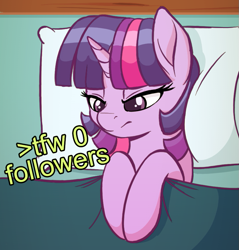 Size: 811x848 | Tagged: safe, artist:spectre-z, derpibooru import, twilight sparkle, unicorn twilight, pony, unicorn, angry, bed, blanket, dialogue, female, followers, frown, glare, greentext, grumpy, lidded eyes, mare, on back, pillow, solo, text, tfw, twilight is not amused, unamused