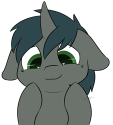 Size: 866x957 | Tagged: safe, artist:starstrucksocks, derpibooru import, oc, oc only, oc:da random, unicorn, bust, cute, floppy ears, heart eyes, male, simple background, solo, stallion, transparent background, wingding eyes