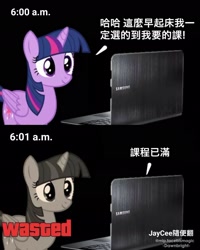 Size: 1440x1799 | Tagged: safe, derpibooru import, twilight sparkle, twilight sparkle (alicorn), alicorn, chinese, computer, laptop computer, obligatory pony, solo, wasted