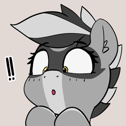 Size: 1395x1395 | Tagged: safe, artist:pabbley, derpibooru import, oc, oc only, oc:bandy cyoot, raccoon pony, solo, surprised