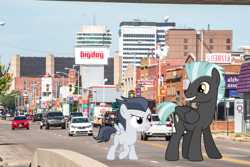 Size: 1000x667 | Tagged: safe, artist:frownfactory, artist:jawsandgumballfan24, derpibooru import, rumble, thunderlane, pegasus, pony, city, irl, kansas, photo, ponies in real life, wichita