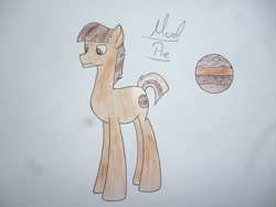 Size: 4320x3240 | Tagged: safe, artist:thr3eguess3s, derpibooru import, oc, oc:mud pie, earth pony, pony, male, offspring, parent:maud pie, parent:mud briar, parents:maudbriar, solo, stallion, traditional art