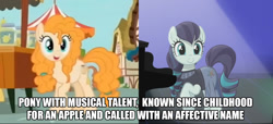 Size: 1207x552 | Tagged: safe, coloratura, pear butter, pony, the mane attraction, the perfect pear, comparison, grammar error, implied rarajack, implied shipping, meme, oedipus complex, rara