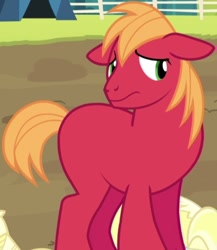 Size: 546x630 | Tagged: safe, edit, edited screencap, screencap, big macintosh, earth pony, pony, brotherhooves social, cropped, cute, macabetes, male, missing accessory, missing cutie mark, nervous, nude edit, nudity, red, solo, stallion