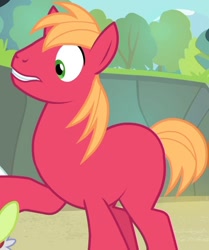 Size: 576x689 | Tagged: safe, edit, edited screencap, screencap, big macintosh, earth pony, pony, leap of faith, cropped, cute, macabetes, male, missing accessory, missing cutie mark, nude edit, nudity, red, solo, stallion