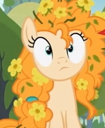 Size: 371x451 | Tagged: safe, screencap, pear butter, pony, the perfect pear, cropped, cross-eyed, cute, flower, flower in hair, pearabetes, solo, surprised, wide eyes