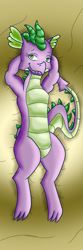 Size: 689x2067 | Tagged: safe, artist:bronyxxi, barb, spike, dragon, adult, adult barb, adult spike, arm behind head, bed, bedroom eyes, blanket, body pillow, body pillow design, gold, greed barb, greed spike, impressions, looking at you, lying down, older, older spike, on back, rule 63, smiling, solo