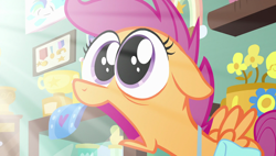 Size: 1920x1090 | Tagged: safe, screencap, scootaloo, pony, parental glideance, big eyes, faic, jaw drop, open mouth, reaction image, scootaloo ultimate faic, solo