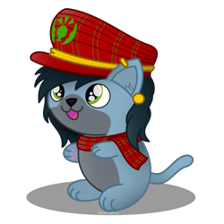 Size: 1400x1400 | Tagged: safe, artist:peternators, oc, oc only, oc:mad munchkin, cat, clothes, hat, kitten, scarf, scottish, solo, species swap