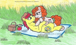 Size: 1024x616 | Tagged: safe, artist:artistnjc, bright mac, pear butter, earth pony, pony, the perfect pear, brightbutter, buttercup, female, field, male, nose to nose, on back, picnic blanket, prone, shipping, smiling, straight, traditional art