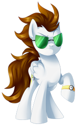 Size: 696x1149 | Tagged: artist needed, safe, oc, oc only, oc:ateren steelbender, pony, brown hair, commission, male, pose, simple background, solo, sunglasses, transparent background, watch, wings