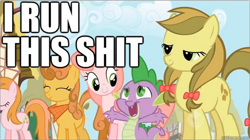Size: 784x438 | Tagged: safe, edit, edited screencap, screencap, apple fritter, apple strudely, gala appleby, spike, dragon, earth pony, pony, friendship is magic, apple family member, artifact, brony history, female, ginger gold, image macro, male, mare, meme, pacific rose, sunfire, vulgar