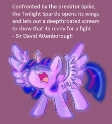 Size: 895x996 | Tagged: safe, artist:drawbauchery, derpibooru import, edit, twilight sparkle, twilight sparkle (alicorn), alicorn, female, implied spike, solo, text