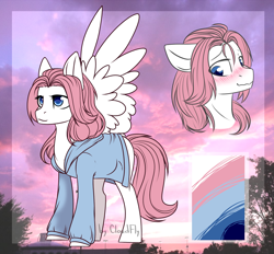 Size: 1492x1385 | Tagged: safe, artist:cloud-fly, derpibooru import, oc, oc:pink, pegasus, pony, blushing, clothes, male, reference sheet, shirt, solo, stallion