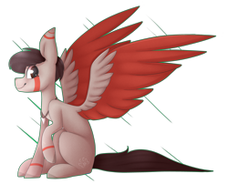 Size: 4201x3396 | Tagged: safe, artist:umiimou, oc, oc only, oc:jack, pegasus, pony, absurd resolution, colored wings, high res, male, multicolored wings, simple background, sitting, solo, stallion, transparent background