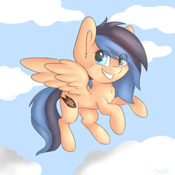 Size: 1024x1024 | Tagged: safe, artist:dbleki, oc, oc only, oc:amber hearthstone, pony, cloud, flying, solo