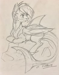 Size: 1980x2526 | Tagged: safe, artist:ovolkorn, derpibooru import, oc, oc:shark bite, original species, pony, shark pony, shark tail, solo, traditional art