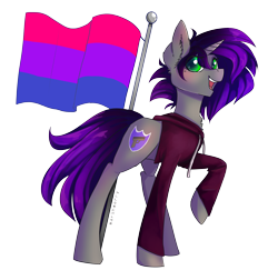 Size: 3708x3600 | Tagged: safe, artist:skylacuna, derpibooru import, oc, oc:amethyst night, pony, unicorn, bisexual pride flag, clothes, female, high res, hoodie, mare, pride, pride flag, simple background, solo, transparent background