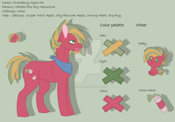 Size: 1024x711 | Tagged: safe, artist:kiralindocruz, derpibooru import, oc, oc only, oc:strawberry apple pie, earth pony, pony, baby, baby pony, base used, freckles, green background, male, neckerchief, offspring, parent:big macintosh, parent:marble pie, parents:marblemac, reference sheet, simple background, solo, stallion, story included, watermark