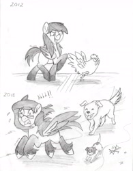 Size: 5100x6527 | Tagged: safe, artist:pollito15, derpibooru import, oc, oc:jennifer miranda, bird, chicken, dog, pegasus, pony, absurd resolution, female, mare, monochrome, solo, traditional art