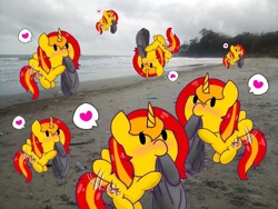 Size: 960x720 | Tagged: safe, artist:parn, derpibooru import, oc, oc:princess parn, alicorn, alicorn oc, beach, bin, flying, funny, funny face, love, many many pony, meme, ocean