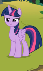 Size: 354x581 | Tagged: safe, derpibooru import, screencap, twilight sparkle, twilight sparkle (alicorn), alicorn, pony, non-compete clause, angry, cropped, female, mare, solo, stern, wings