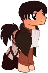 Size: 1024x1558 | Tagged: safe, artist:leanne264, derpibooru import, earth pony, pony, attack on titan, clothes, levi ackerman, male, ponified, simple background, solo, stallion, transparent background