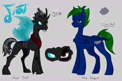 Size: 1800x1200 | Tagged: safe, derpibooru import, oc, oc only, oc:eit, changeling, bedroom eyes, changeling oc, heterochromia, looking at you, male, piercing, reference sheet, stallion