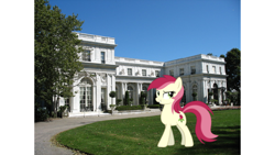 Size: 960x540 | Tagged: safe, derpibooru import, roseluck, earth pony, pony, female, irl, mansion, mare, newport, photo, ponies in real life, rhode island