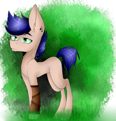 Size: 2300x2394 | Tagged: safe, artist:eclispeluna, oc, oc only, earth pony, pony, high res, male, solo, stallion