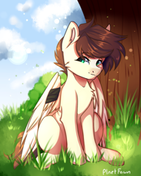 Size: 1600x2000 | Tagged: safe, artist:plnetfawn, oc, oc only, pegasus, pony, solo, tree