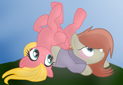 Size: 1024x708 | Tagged: safe, artist:leanne264, derpibooru import, oc, oc only, oc:scheelite pie, oc:sweet apple, earth pony, pegasus, pony, base used, clothes, crash landing, duo, female, mare, offspring, parent:big macintosh, parent:fluttershy, parent:marble pie, parent:sunburst, parents:fluttermac, parents:marbleburst, sweater, turtleneck