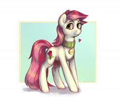 Size: 1800x1500 | Tagged: safe, artist:fault sunrise, derpibooru import, roseluck, earth pony, pony, collar, digital art, female, heart, looking at you, mare, pet tag, pony pet, rosepet, solo, standing