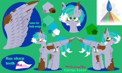 Size: 3000x1800 | Tagged: safe, artist:vanillaswirl6, oc, oc only, oc:cirrus fever, pegasus, pony, coat markings, cutie mark, fluffy, male, multicolored hair, profile, reference sheet, sharp teeth, signature, spots, stallion, teeth