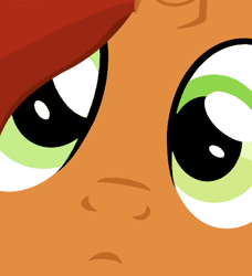 Size: 500x549 | Tagged: safe, artist:grapefruitface1, derpibooru exclusive, derpibooru import, edit, part of a series, part of a set, stellar flare, unicorn, the parent map, close up series, close-up, confused, extreme close up, looking at you, meme, solo, stare