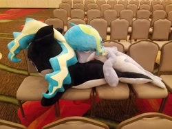 Size: 4032x3024 | Tagged: safe, derpibooru import, oc, oc only, oc:marina (efnw), orca pony, original species, efnw 2018, everfree northwest, irl, photo, plushie