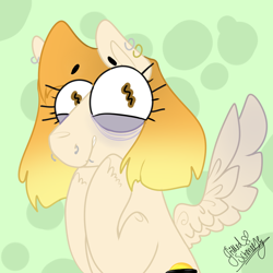 Size: 1000x1000 | Tagged: safe, artist:grilledschmeeze, oc, oc only, oc:haizzey comette, pegasus, pony, brown eyes, ginger, piercing, solo