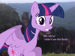 Size: 1024x764 | Tagged: safe, artist:didgereethebrony, derpibooru import, twilight sparkle, twilight sparkle (alicorn), alicorn, pony, accident, australia, irl, katoomba, mlp in australia, photo, photobomb, ponies in real life, solo, three sisters, whoops