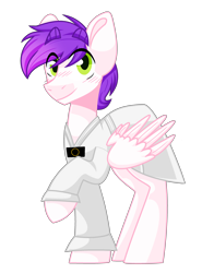 Size: 2513x3404 | Tagged: safe, artist:dollmaker47, derpibooru import, oc, oc:loyal musics, pegasus, pony, clothes, hanbok, high res, male, simple background, solo, stallion, transparent background