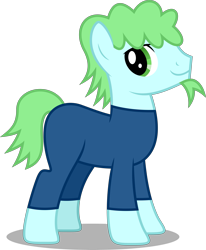 Size: 4117x5000 | Tagged: safe, artist:dashiesparkle, derpibooru import, oc, oc only, oc:nick swift, pony, absurd resolution, male, simple background, solo, transparent background, vector