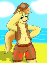 Size: 3024x4032 | Tagged: safe, artist:tacomytaco, derpibooru import, braeburn, bat, earth pony, pony, armpits, beach, belly button, bipedal, chest fluff, clothes, hat, male, open clothes, roflanebalo, shorts, solo, speedo, swimsuit