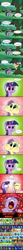 Size: 1654x18289 | Tagged: safe, artist:doublewbrothers, derpibooru import, fluttershy, twilight sparkle, twilight sparkle (alicorn), oc, alicorn, bee, flash bee, pegasus, pony, a health of information, comic, dialogue, nicolas cage, not the bees, patreon, patreon logo, puffy cheeks, speech bubble, the wicker man