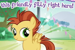 Size: 304x203 | Tagged: safe, derpibooru import, pegasus, pony, cropped, foal, gameloft, meme, solo, wow! glimmer