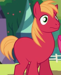 Size: 567x694 | Tagged: safe, edit, edited screencap, screencap, big macintosh, pony, brotherhooves social, cropped, cute, macabetes, missing accessory, missing cutie mark, nude edit, nudity, red, solo focus