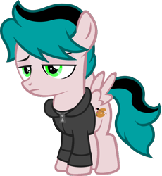 Size: 6670x7254 | Tagged: safe, artist:fletcherthehuntress, derpibooru import, oc, oc:dash palette, pegasus, pony, absurd resolution, clothes, colt, hoodie, male, simple background, solo, transparent background