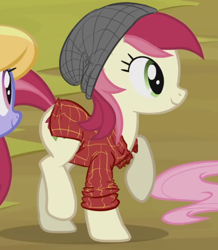 Size: 387x443 | Tagged: safe, derpibooru import, edit, edited screencap, screencap, roseluck, beanie, clothes, clothes edit, cropped, flannel, hat, shirt, solo