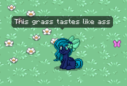 Size: 1044x708 | Tagged: safe, derpibooru import, oc, oc:midnight mist, pony, funny, grass, pixel art, pony town, rhyme, vulgar