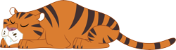 Size: 11918x3443 | Tagged: safe, artist:curvesandlines, derpibooru import, big cat, cat, tiger, animal, eyes closed, fangs, prone, simple background, sleeping, solo, transparent background, vector